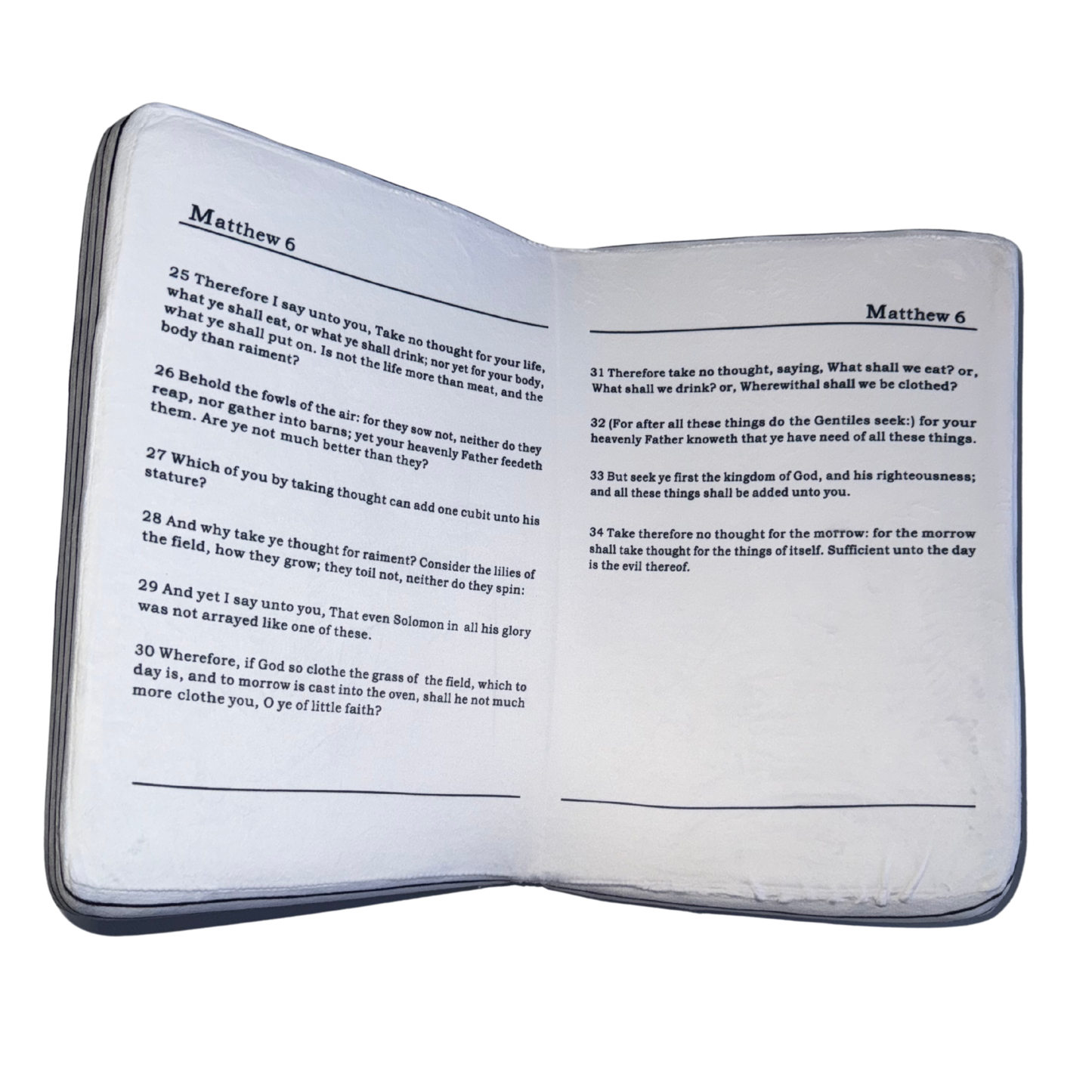 Plush Bible Pillow - Pink