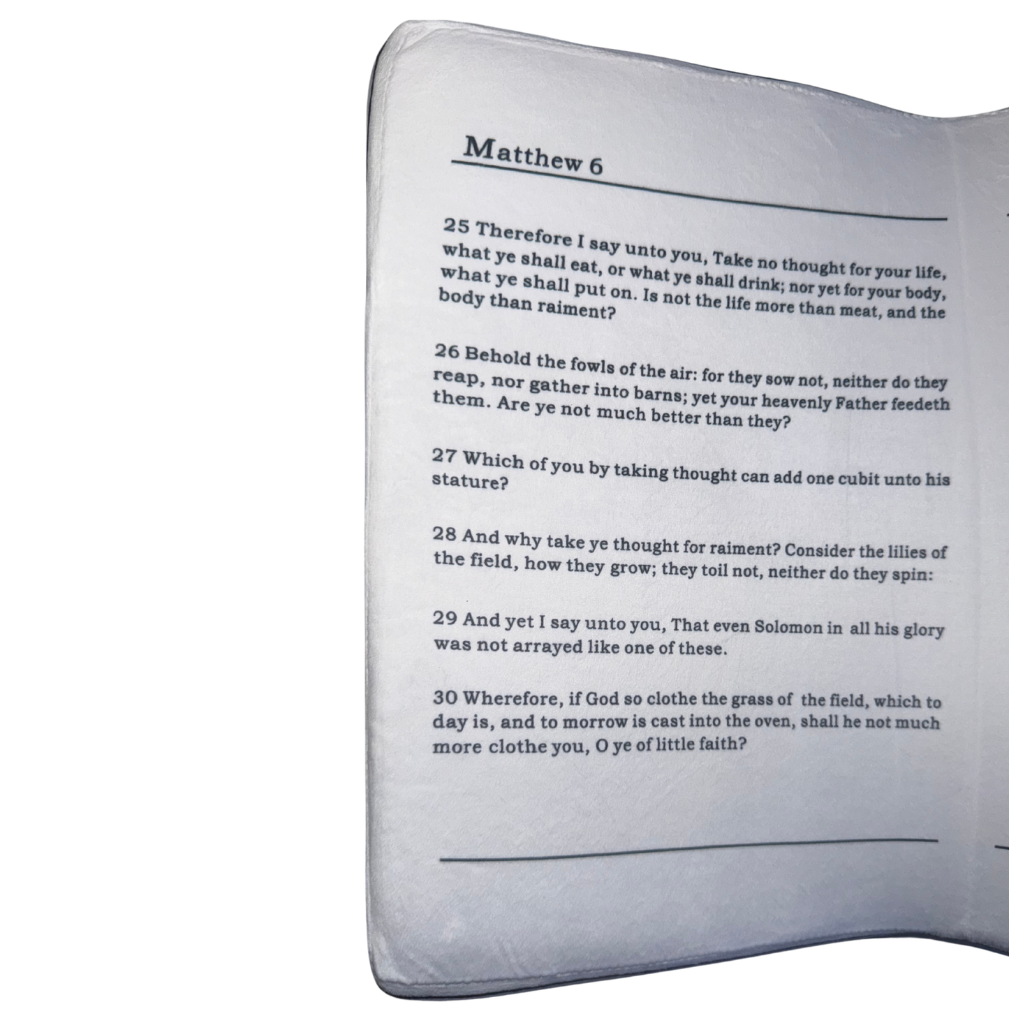 Plush Bible Pillow - Pink