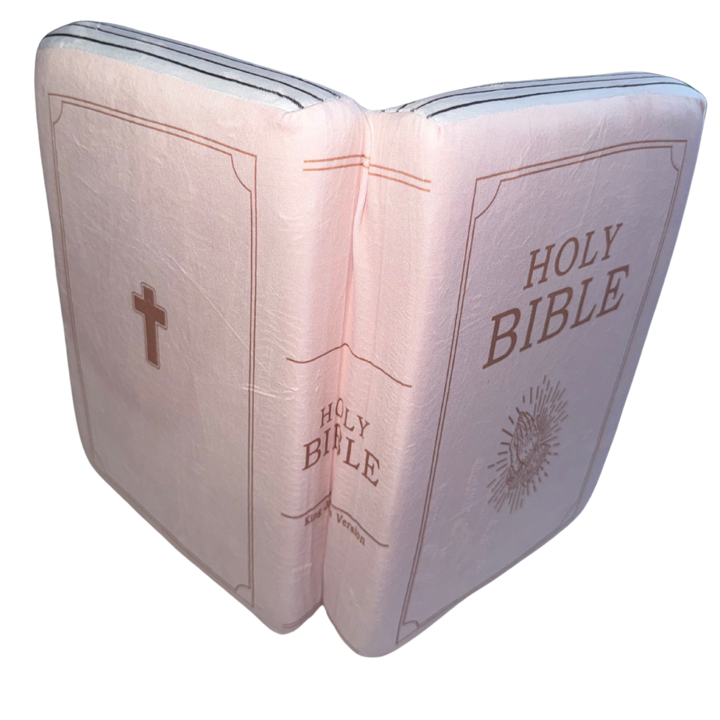 Plush Bible Pillow - Pink