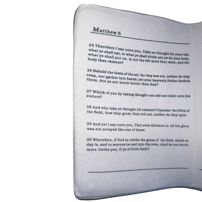 Plush Bible Pillow - Pink