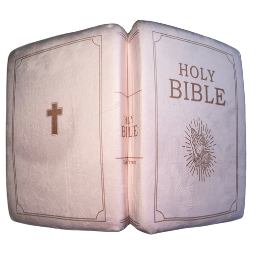 Plush Bible Pillow - Pink